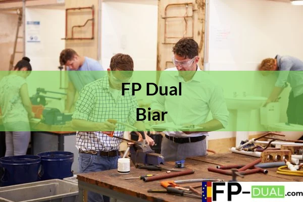 FP Dual en Comunidad Valenciana FP Dual en Biar