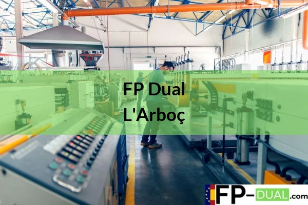 FP Dual en L'Arboç