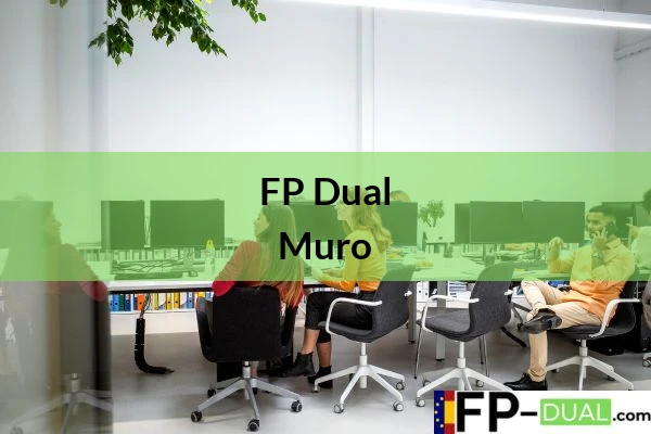 FP Dual en Muro